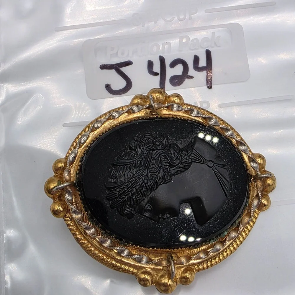 Vintage Black Cameo Brooch Oval Gold Tone Profile‎ Woman Victorian Mourning